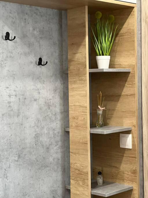 Blue & Gold Stylish Apartemen